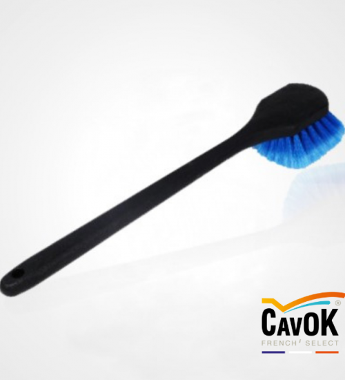 Brosse Jante