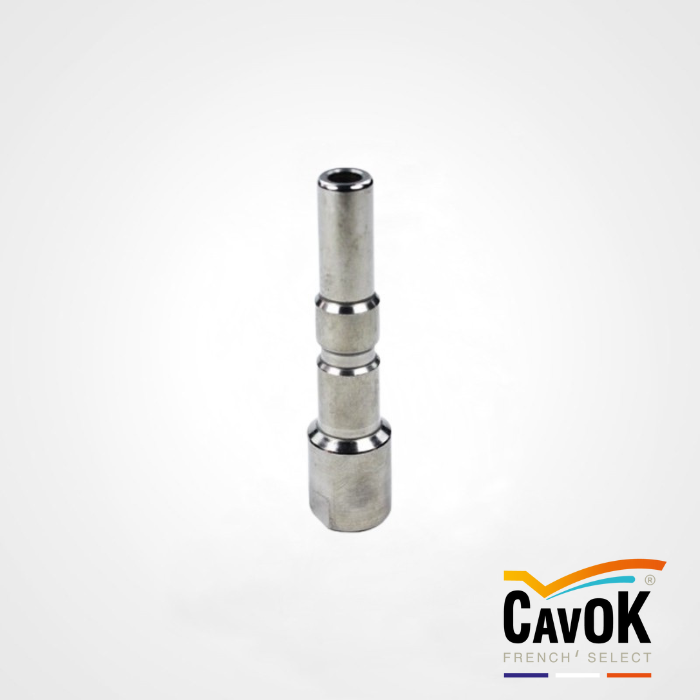 EMBOUT INOX PUSH POOL Ø1/4F