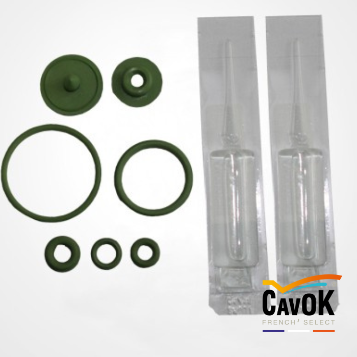 KIT DE JOINTS POUR VENUS ACIDE